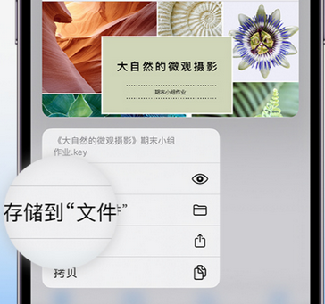 广汉apple维修中心分享iPhone文件应用中存储和找到下载文件