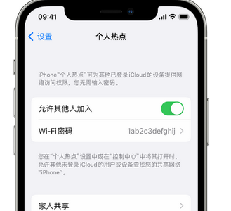 广汉apple服务站点分享iPhone上个人热点丢失了怎么办 