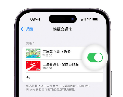 广汉apple维修点分享iPhone上更换Apple Pay快捷交通卡手绘卡面 