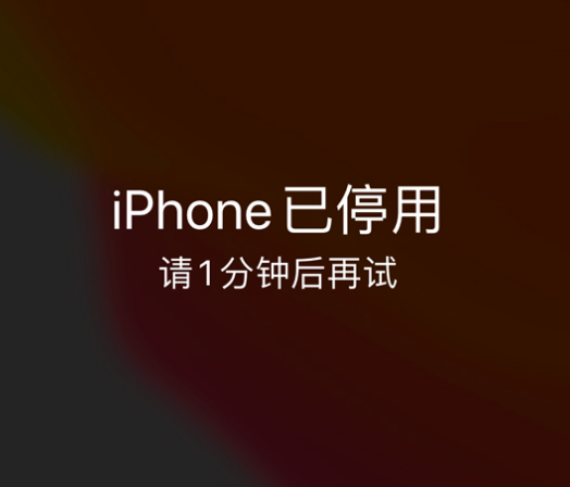 广汉苹果手机维修分享:iPhone 显示“不可用”或“已停用”怎么办？还能保留数据吗？ 