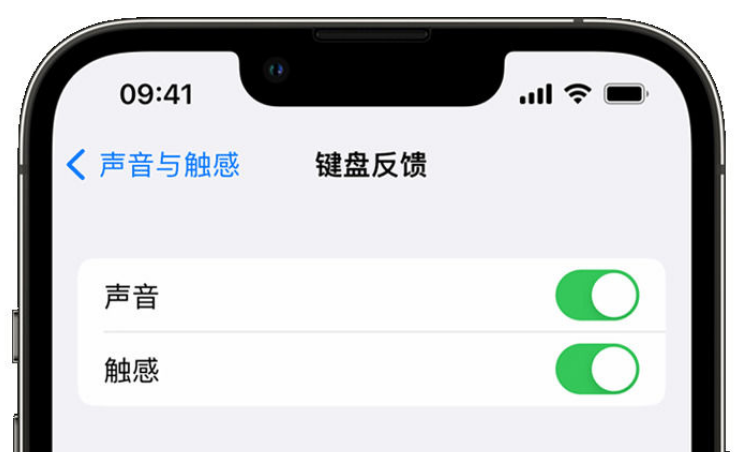 广汉苹果手机维修分享iPhone 14触感键盘使用方法 