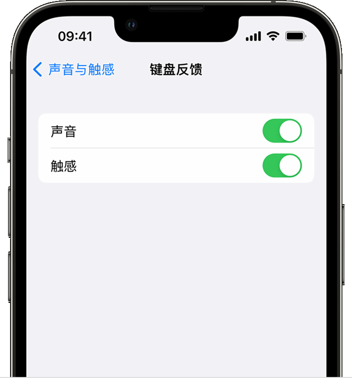 广汉苹果14维修店分享如何在 iPhone 14 机型中使用触感键盘 