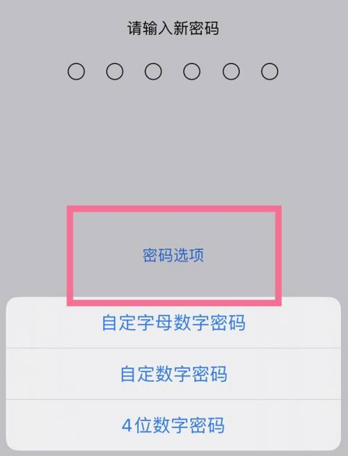 广汉苹果14维修分享iPhone 14plus设置密码的方法 