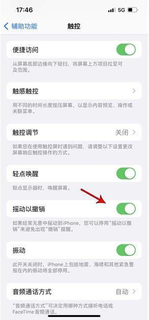 广汉苹果手机维修分享iPhone手机如何设置摇一摇删除文字 